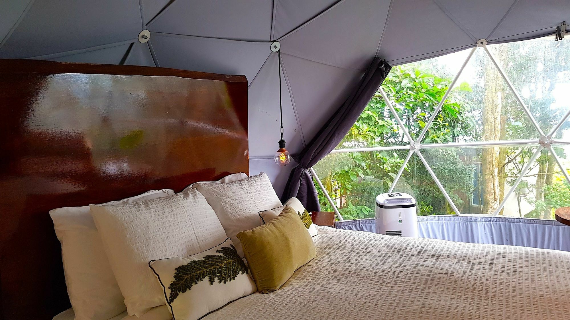 Chira Glamping Resort Monteverde Екстер'єр фото