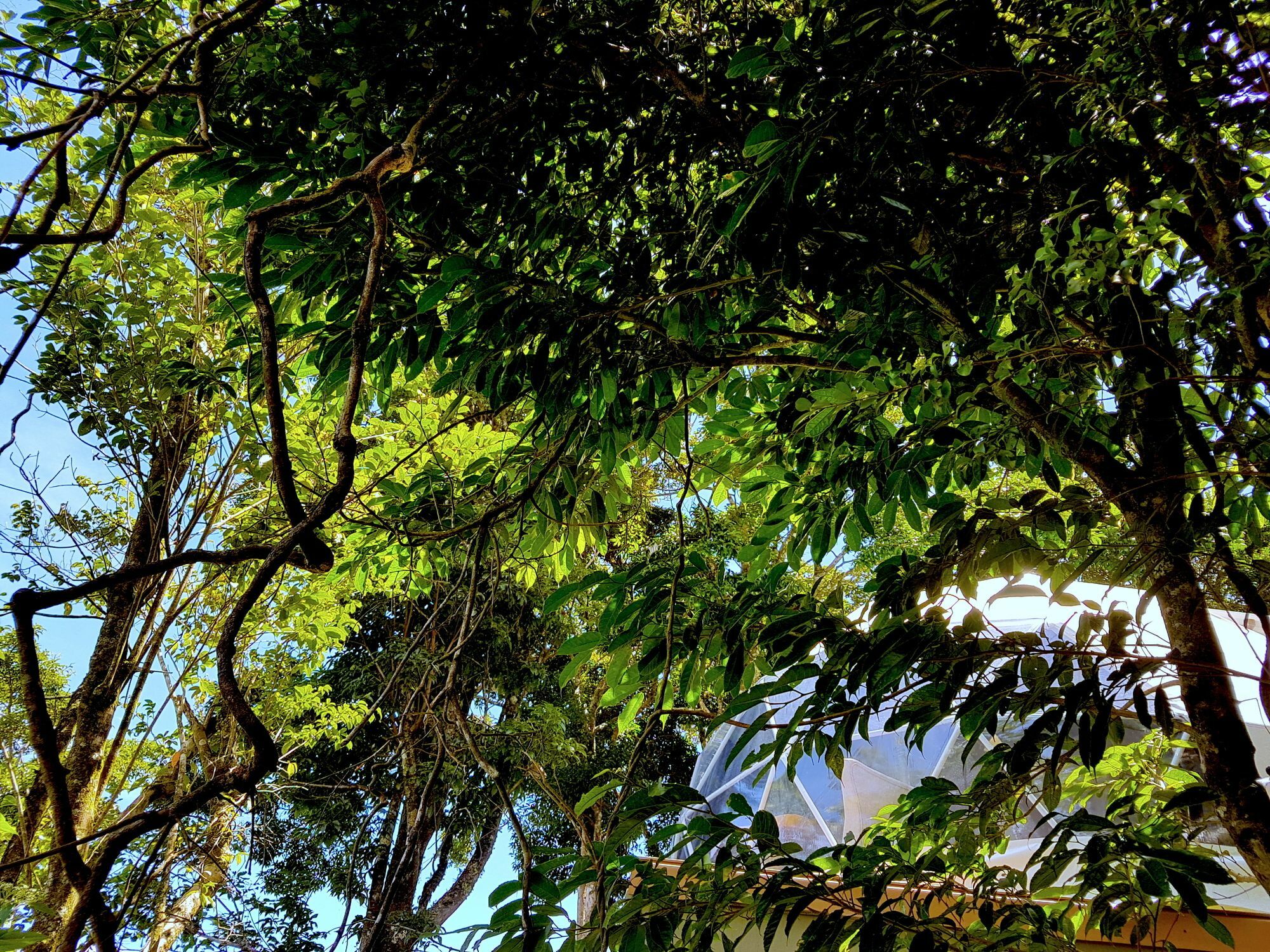 Chira Glamping Resort Monteverde Екстер'єр фото