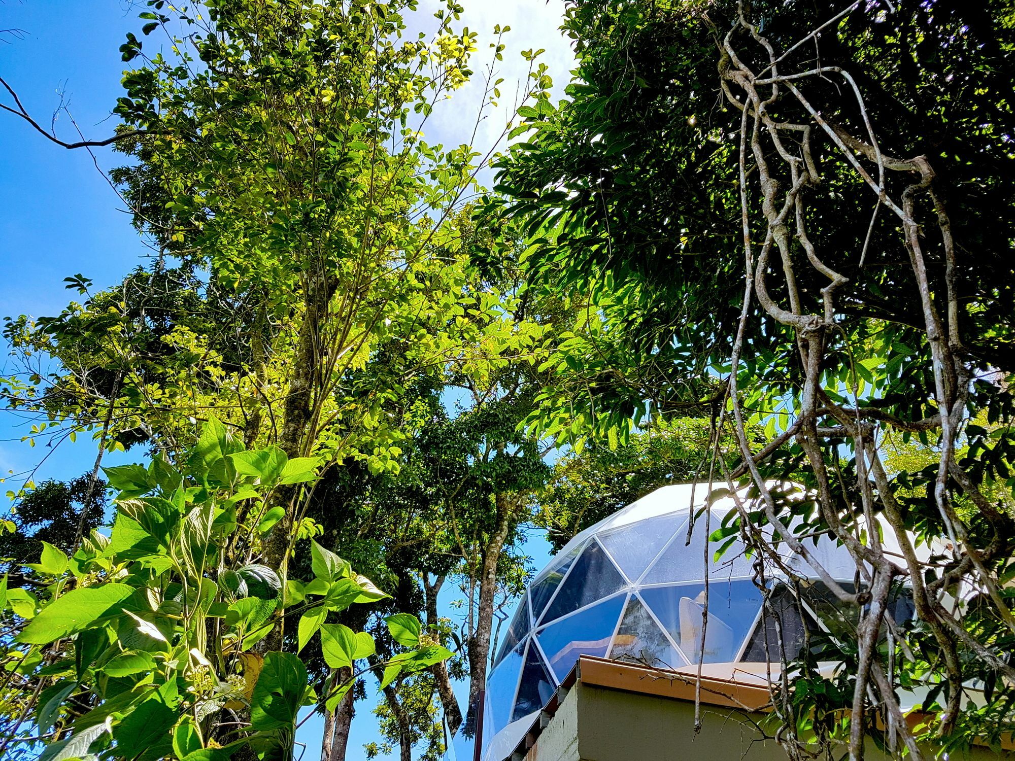 Chira Glamping Resort Monteverde Екстер'єр фото